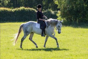 Maintaining Softness in the Saddle